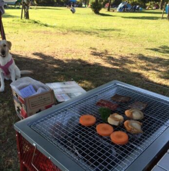 BBQ
