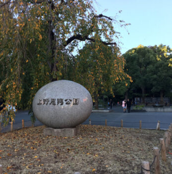 今年１台目の完成