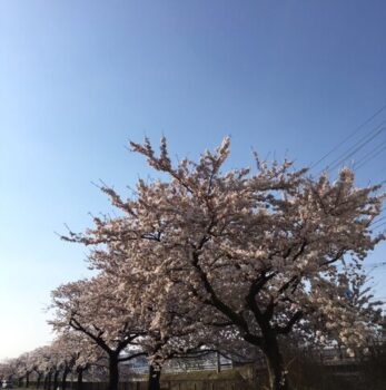 静岡まで1ヶ月切りました