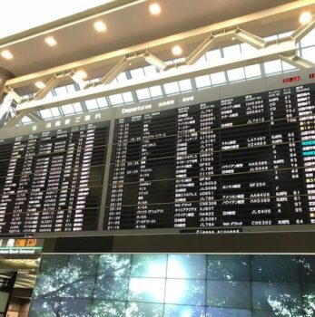 南国にはビールが良く似合う