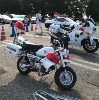 夏休みも北へ